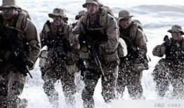 海豹突击队在线观看,惊心动魄的在线观影之旅