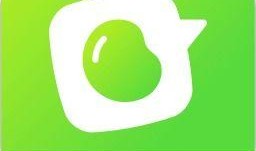 青豆新闻爆料,揭秘娱乐圈惊人内幕