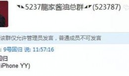 九号官方最新爆料