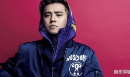 罗志祥在圈内爆料,一场关于友情、背叛与真相的较量