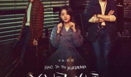 谁是凶手电视剧在线观看,揭秘悬疑背后的真相，谁是幕后黑手？