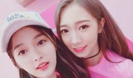 清北女生爆料视频大全最新,视频大全背后的真实故事