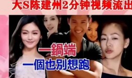 娱乐圈最新爆料台湾,台湾明星最新动态大曝光！