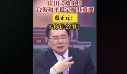 台湾名嘴蔡正元爆料视频,视频爆料引发热议