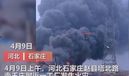 洛阳传媒公司爆料事件视频