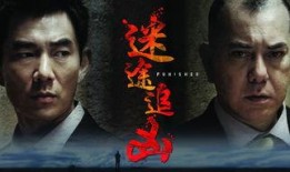 迷途追凶在线观看,真相大白，迷雾重重中的正义追寻