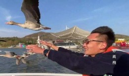 新闻爆料临沂大雁哥事件,爱心传递引发社会关注