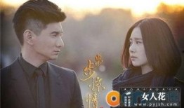 最新爆料电视剧排行榜,热门剧集盘点，哪部是你的心头好？