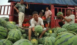 吃瓜最新事件爆料伊宁市,揭秘背后惊人真相！