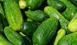 爆料黄瓜出问题视频,揭秘视频揭露的食品安全问题