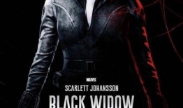 黑寡妇黑客爆料视频,揭秘网络黑幕与隐私危机