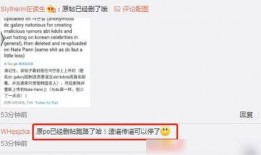 媒体人爆料粉丝辟谣视频,揭秘视频真相背后的争议