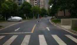 恒通佳苑最新爆料信息网