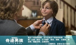 电影小男孩在线观看,穿越时空的勇气之旅