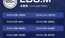 王者转会最新爆料消息,最新爆料揭秘转会大幕