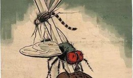 中国地在线观看,在线畅游中国各地风光