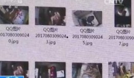 如何向中央新闻爆料,如何有效传递信息