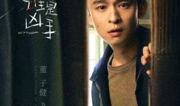 谁是凶手电视剧在线观看,揭秘悬疑背后的真相，谁是幕后黑手？