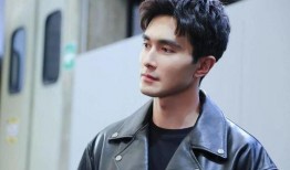 高伟光娱乐爆料,揭秘明星幕后故事