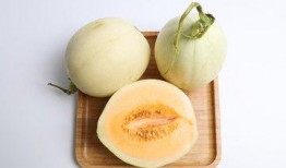 甜瓜美食爆料视频下载大全,解锁夏日美味新境界