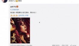 郑燕姿爆料韩忆全部视频,一场娱乐圈的悬疑大剧