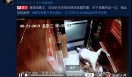 网红爆料家暴视频大全,触目惊心的家庭暴力真相