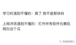 知乎荒谬吃瓜小说全文免费阅读,一场穿越时空的奇幻冒险