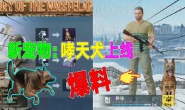 国际服爆料视频,游戏新内容与更新前瞻