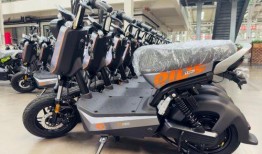 国内电动车最新爆料,最新爆料揭示未来出行革命