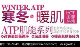 娱乐圈爆料讲解文案素材,揭秘明星背后的故事与真相