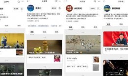 春节爆料视频在哪看啊,揭秘精彩瞬间