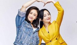 刘芸最新爆料新闻视频,揭秘娱乐圈不为人知的幕后真相