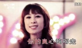 王麟最新爆料视频大全播放,揭秘幕后故事与精彩瞬间