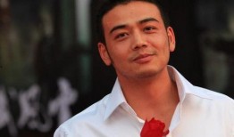 杨烁婚姻爆料视频播放,真相与争议并存