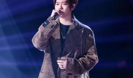 王泽鹏爆料后续视频,揭秘事件真相与更多内幕