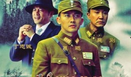 杀尽豺狼全集在线观看,揭秘抗战传奇，热血激战全纪录