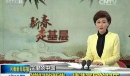 新闻爆料的背后故事是什么,那些不为人知的真实故事