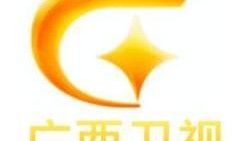 广西电视台在线观看,尽享视听盛宴，畅游八桂风情