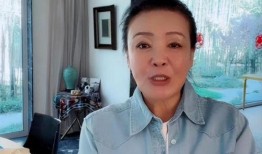 张兰爆料金星黑料视频,揭秘娱乐圈背后的真相