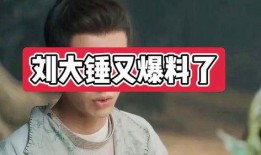 刘大锤最新爆料ab,揭秘AB惊人内幕