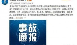 爆料冻货暴利事件案例视频,一场冰封下的财富盛宴