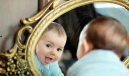 宝宝镜子爆料图片高清视频,高清视频揭秘惊人真相