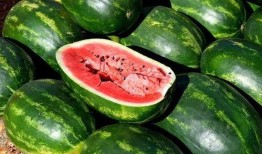 网红吃瓜八卦图片大全,揭秘娱乐圈八卦风云图鉴