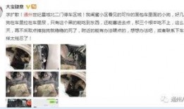 寻人爆料视频完整版