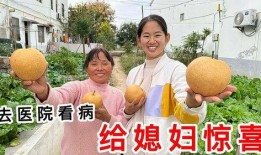 大院媳妇吃瓜日常免费,揭秘邻里琐事，共享生活乐趣