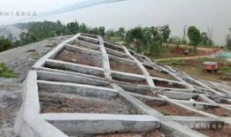 西安雁塔最新爆料,最新爆料带你探秘古都新颜