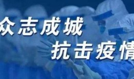 爆料冻货暴利事件案例视频,一场冰封下的财富盛宴
