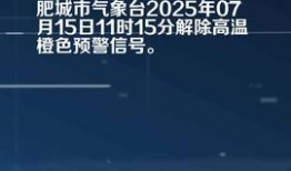 肥城头条最新爆料,揭秘重大事件背后真相！
