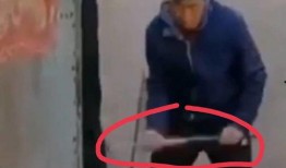 爆料铁锤妈妈视频大全,揭秘育儿日常与温馨瞬间