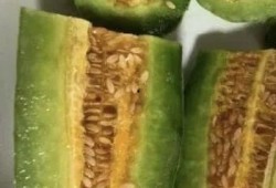 吃西湖瓜的网红叫什么,揭秘瓜界新宠背后的故事